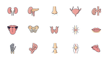 Vector body organs icons set | Include heart, lungs, kidneys, tongue, nose, bones and others