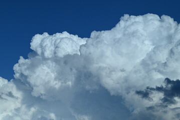 Naklejka premium 夏の青空と白い雲