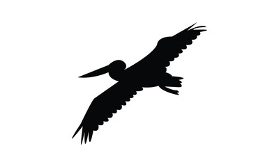 Flying American white pelican bird Silhouette Design  And Vector Illustration. 