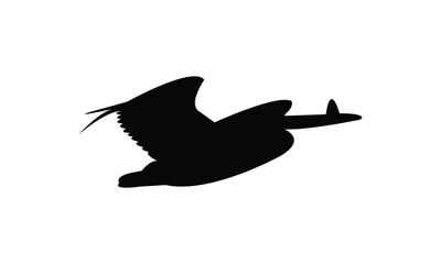Flying American white pelican bird Silhouette Design  And Vector Illustration. 