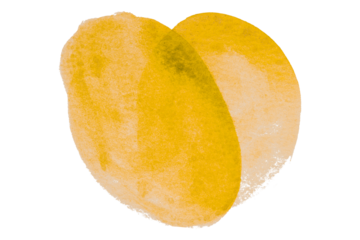 Yellow circle pattern watercolor isolated on transparent background