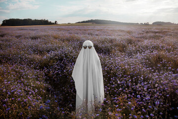 Ghost wearing sunglasses relaxing in purple cornflower meadow at sunset
