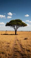 Obraz premium Golden Hour Sentinel