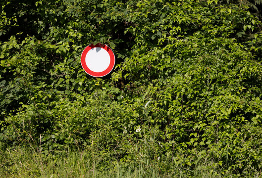 No entry road sign overgrown by foliage in Upper Austria forest