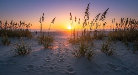 Golden Hour's Embrace