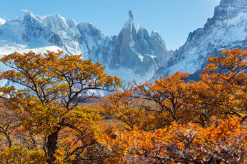 Autumn in Patagonia