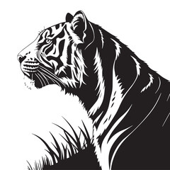 black tiger Silhouette Vector, High Quality Illustration on White Background