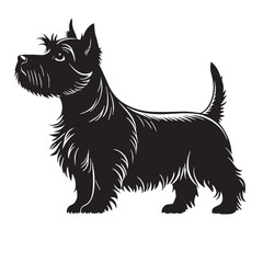 black westie Silhouette Vector, High Quality Illustration on White Background