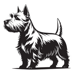 black westie Silhouette Vector, High Quality Illustration on White Background