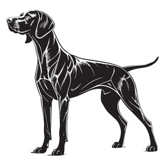 black vizsla Silhouette Vector, High Quality Illustration on White Background