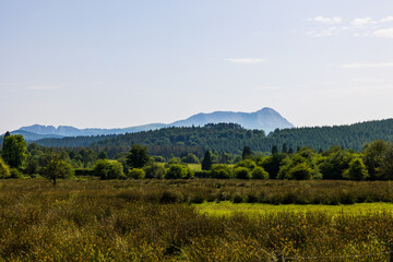 Obraz premium Saldropo Marsh in Gorbeia Natural Park with Anboto Summit on the Horizon