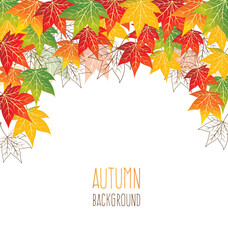Vector autumn leaves background