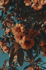 Fototapeta premium Floral Canopy Against Blue Sky