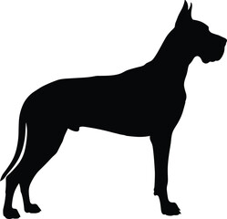Great Dane dog silhouette, standing profile, majestic canine breed, black and white illustration, pet artwork, animal lover design, elegant dog pose