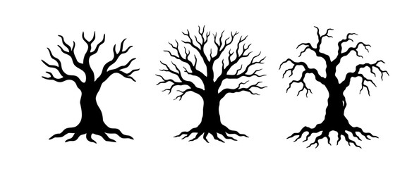 Silhouette of three distinct leafless trees