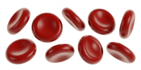 Collection of red blood cells isolated on transparent background