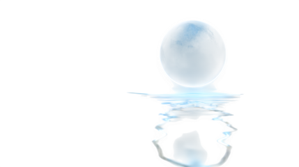 egg on white