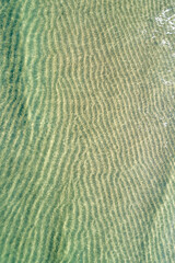 The perfect and clean bottom of the sea on a sunny day in a calm bay pristine environment concept