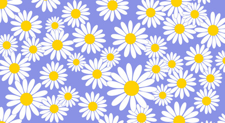 Daisy floral pattern with bright yellow centers and white petals on periwinkle background