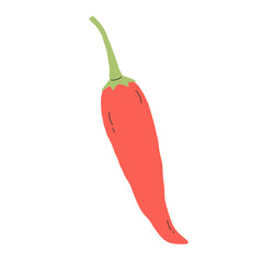 Red chili pepper vector illustration.
