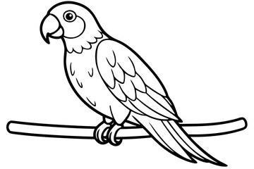 Fototapeta premium Fun Black and White Parrot Drawing for Coloring and Art