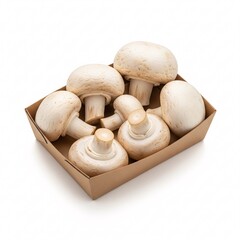 A top-down view of an open cardboard box with fresh white button mushrooms neatly arranged inside,