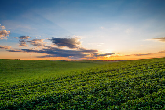 Vibrant sunset casts a magical glow over rolling green hills in a serene landscape. - Powered by Adobe