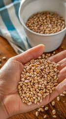 A person holds warm, healthy wheat grains. Natural whole foods for wholesome cooking and baking.