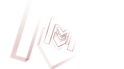 Echo Duplication Outline Zoom Out Logo Reveal