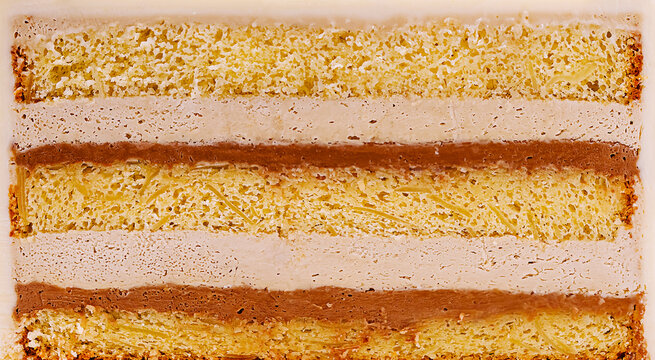 Delicious layered cake showcasing multiple flavors and textures