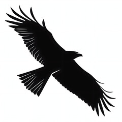 Naklejka premium Silhouette of a flying bird isolated on white background