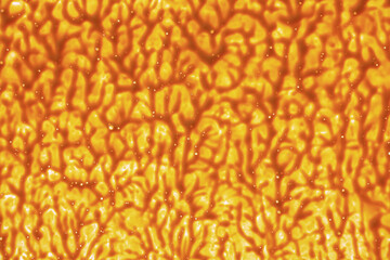 yellow golden paint, smears of prints on the surface