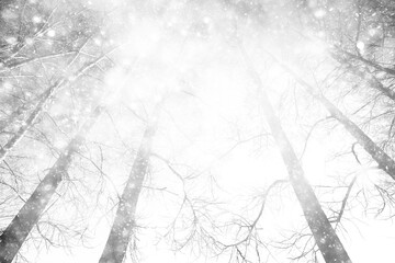 snowfall in the park, snowflakes on the background of branches, heavy thick snowfall abstract...