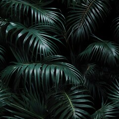 Dark Green Tropical Palm Leaves with Dramatic Shadows for Nature and Botanical Design