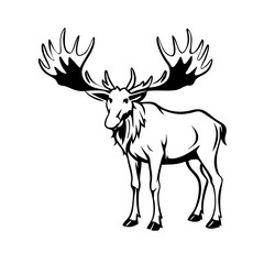 Fototapeta premium deer head silhouette