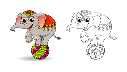 Funny cartoon circus elephant balancing  on ball. Black and white vector illustration for coloring book with example in color