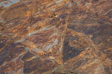 Mineral surface with deep veins in graphite tones that draw sinuous lines on a dark and mysterious grayish background.