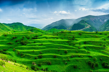 Beautiful view of green slope of terraced mountain with rain in mountains in background. North...