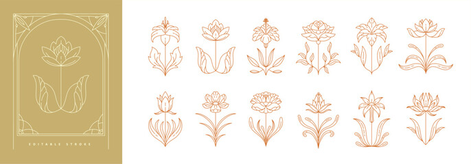 Set of boho simple geometric branch and flowers. Botanic design elements in wavy and vintage style. Leaves and branches print for logo, social media or packaging © merfin