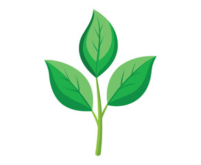 Green Leaves Sprouting from a Stem A Symbol of Growth and Nature