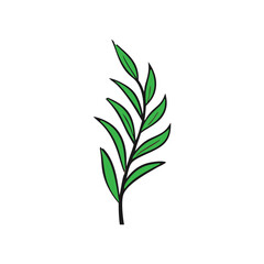 green plant isolated on white,natural,vector leaf