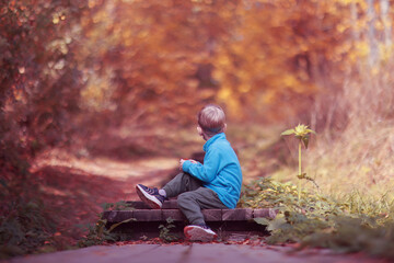a boy in casual clothes on a walk in a warm autumn park, a 4-year-old child