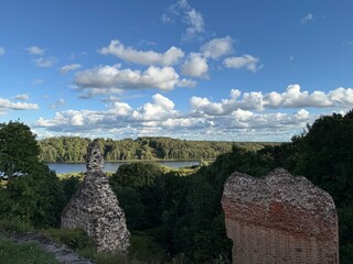ruins of Fellin castle