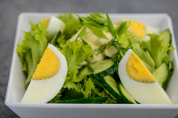 salad greens cucumber and boiled egg macro