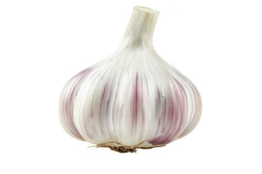High-quality garlic bulb image for culinary projects, food illustrations, and recipe designs, fresh garlic head, isolated on transparent background - Powered by Adobe