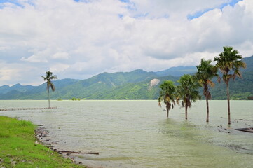 Tsengwen Reservoir showing high water level after typhoon with flooded vegetation. Taiwan's largest...