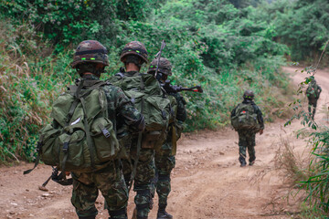 A soldier in camouflage uniform on patrol in a lush forest. Represents military, defense, and...