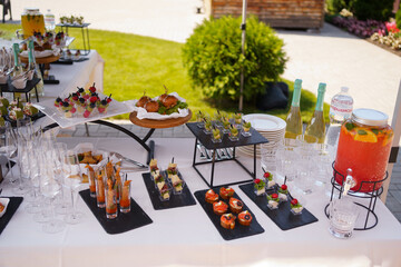 Elegant outdoor catering setup featuring a variety of gourmet appetizers and drinks at a sunny event