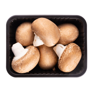 Brown champignon mushrooms in a container isolated on white background top view. Packaging of champignons for a store.