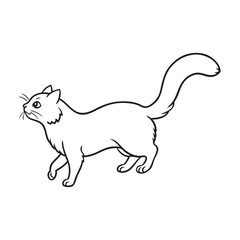 Black and white line drawing of a fluffy cat walking